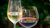 XV Feria de Vinos y Licores de la Provincia de Sevilla: una cita enogastronómica imprescindible