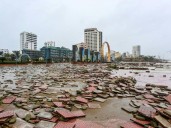 Tifón Bualoi deja ocho muertos y 17 desaparecidos en Vietnam