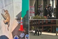 AI-generated monkey hoax had Newark cops going bananas searching for loose primates