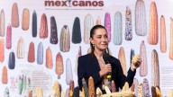 Protegen la diversidad del maíz nativo con la prohibición a transgénicos