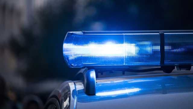 Georgia: Two teens arrested in vehicle break