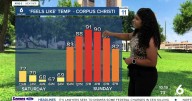 Sunday's Forecast: Sunny and dry to wrap up the weekend