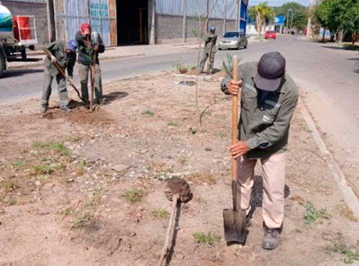 La Municipalidad inició la plantación de más de 3300 árboles en el barrio Los…