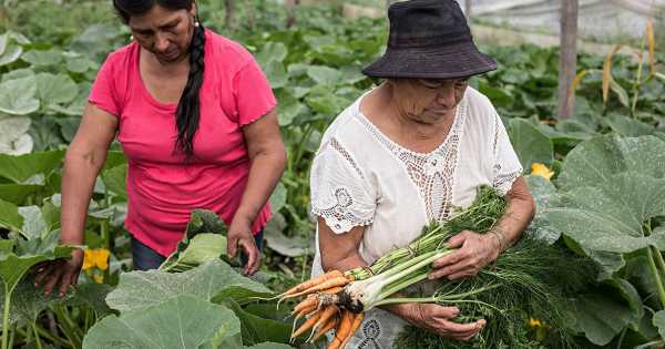 Día de la Mujer Rural: destacarán a productoras y emprendedoras de toda la provincia