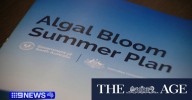 $102.5 million plan to manage algal bloom in the summer