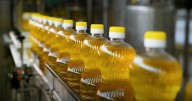 Processed Foods Could Undermine Omega