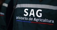 Funcionarios del SAG anuncian movilización nacional por acuerdos incumplidos: paralización afectaría exportaciones
