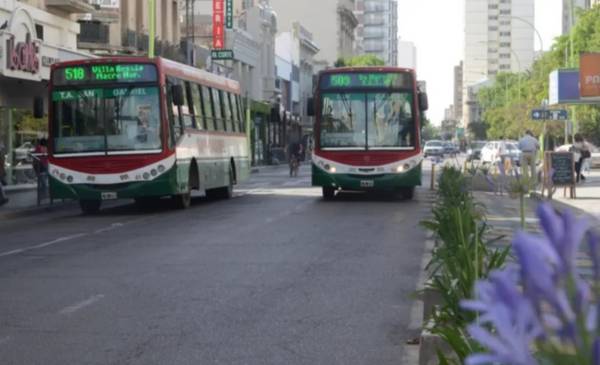 Domingo de elecciones: colectivos gratis y cambios en los recorridos
