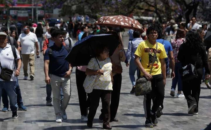 Clima CDMX: Se prevé ambiente cálido y cielo despejado este lunes, 13 de octubre