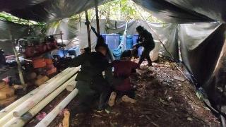 Operativo militar: la FANB desmantela campamentos ilegales en el corazón del Amazonas