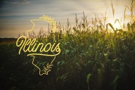 Illinois Grows How Much Corn?! That's Crazy