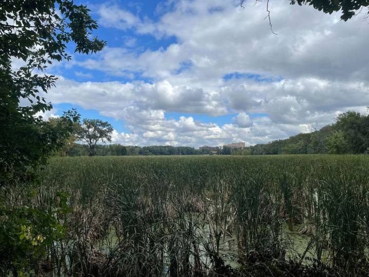 Body found floating in lake at popular Twin Cities nature center