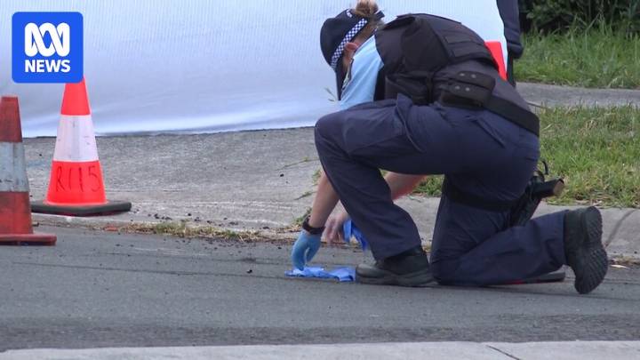 Manhunt underway after man shot dead, cars set alight in Sydney's Riverstone