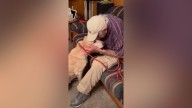 ‘Sunny is safe!’ 93-year-old man reunited with beloved dog after nearly two weeks