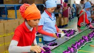 Ante los nuevos aranceles, los países en desarrollo trazan nuevas estrategias comerciales