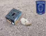 Asegura FGE que no se hallaron indicios de balacera en Guachochi