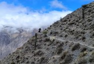 Los salteños perdidos en el Cerro Pacuy, lograron bajar por sus propios medios y están bien