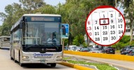Feriado 8 de octubre: Conoce AQUÍ todos los HORARIOS de los servicios de transporte público