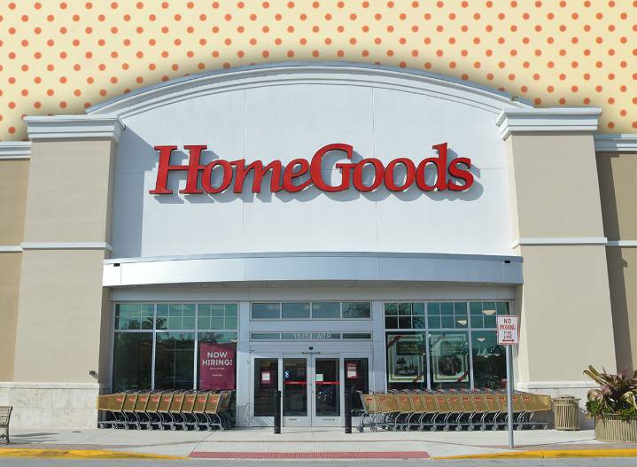8 Best New HomeGoods Decor Finds to Grab Before They’re Gone