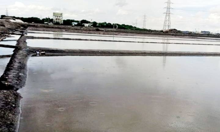 With rain spells starting early salt production ends in Thoothukudi