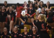 Volleyball: Kaitlyn Hedrich, Lincoln-Way Central top Andrew