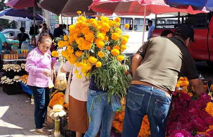 Floristas confían mejoren sus ventas