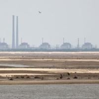Russia says situation at Zaporizhzhia nuclear plant under control