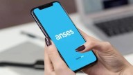 ANSES informó posibles interrupciones en la página web y durante este martes 14 de octubre