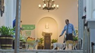 Bombay House: How A 1924 Building Became Tata Group's HQ, And A Shelter For Stray Dogs