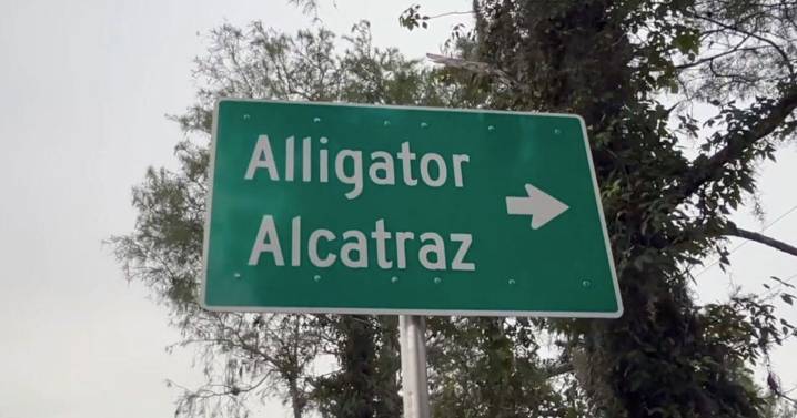 Government blames clerical error for 'Alligator Alcatraz' complaints
