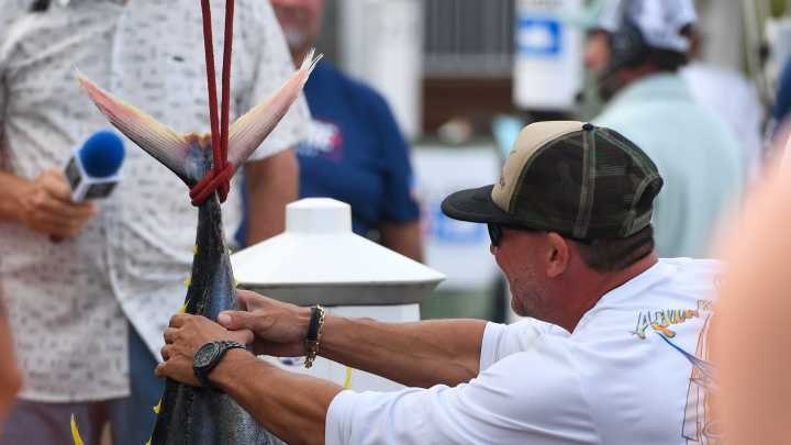 White Marlin Open adds sixth fishing day for the 2026 tournament
