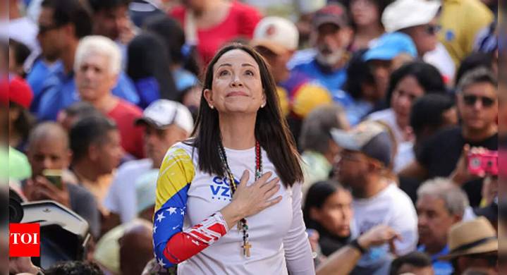 Maria Machado education: An engineer with a Nobel-winning vision for democracy