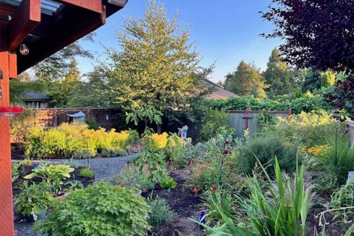 Creating a Healthy Garden 