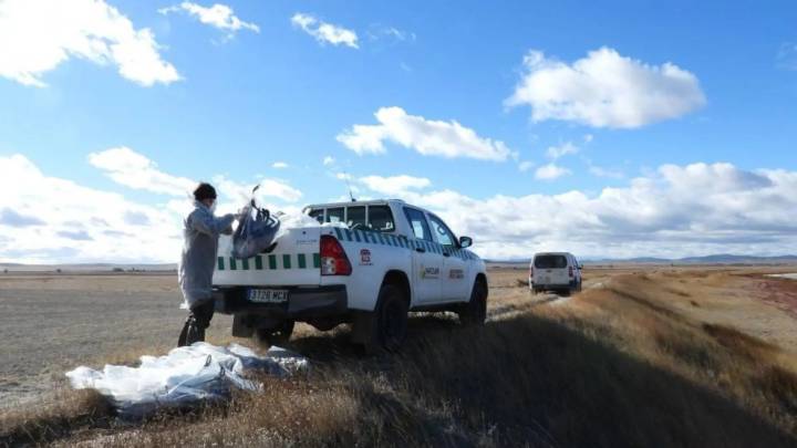 Confirmados varios focos de gripe aviar en aves silvestres en distintos puntos de Aragón
