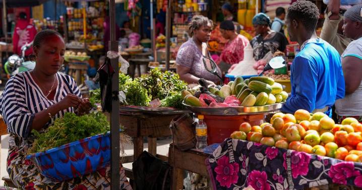Dieta basada en plantas evitaría millones de muertes y el desastre climático, dicen científicos