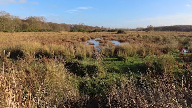 'Norfolk: a place for disgrace and exile' is county's new slogan