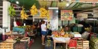 Desaprovechadas casi 200 toneladas de alimento al año