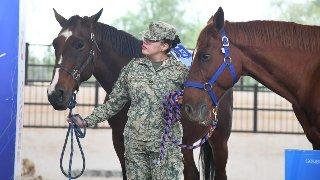 Cuatro nuevos caballos permitirán ampliar terapias para niñas y niños con...