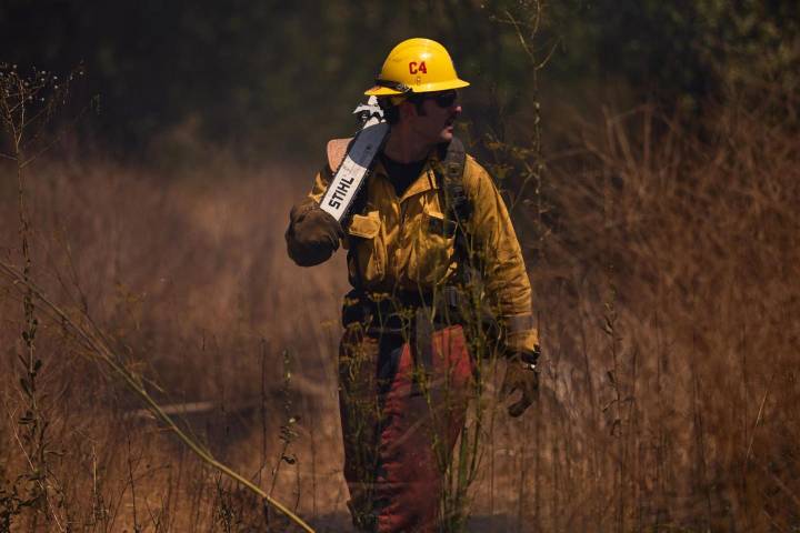 Arrestan a un hombre por el incendio de Palisades en California con 12 muertos