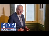 Chuck Schumer is ‘really seeing the writing on the wall’: GOP lawmaker
