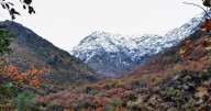 Tres menores de edad son rescatados tras quedar extraviados en la Quebrada de Macul