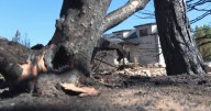 Flash flood warning issued for Forsyth Fire burn scar