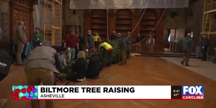 Biltmore tree raising tradition returns for 130th season