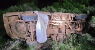 Bees sting dad and daughter to death after she crashes truck into hive