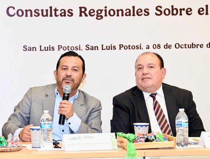 San Luis Potosí lidera consultas del T