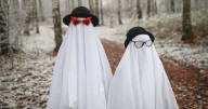 GP warns your Halloween decorations might be making you ill