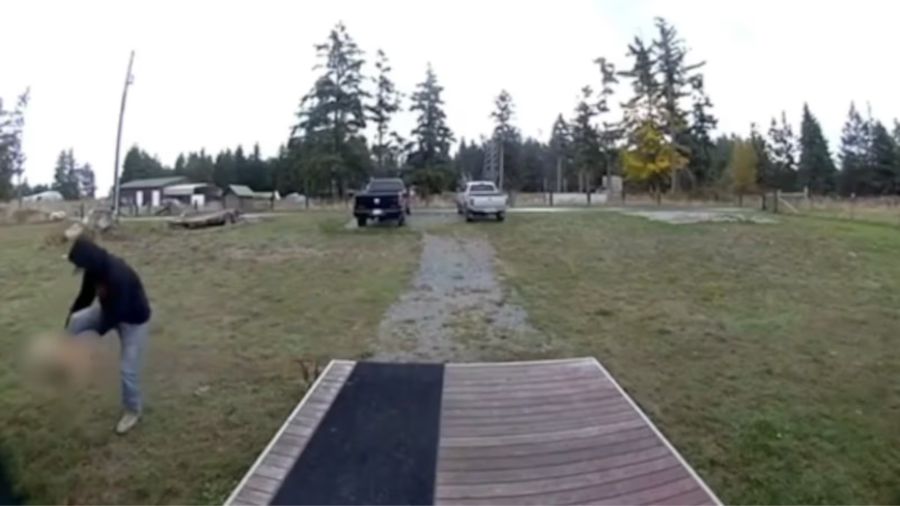 Ring Camera films dog abuse in Pierce County, animal seized