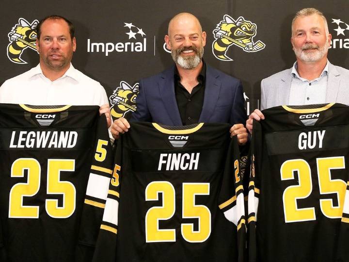 Sarnia Sting planning arena upgrades