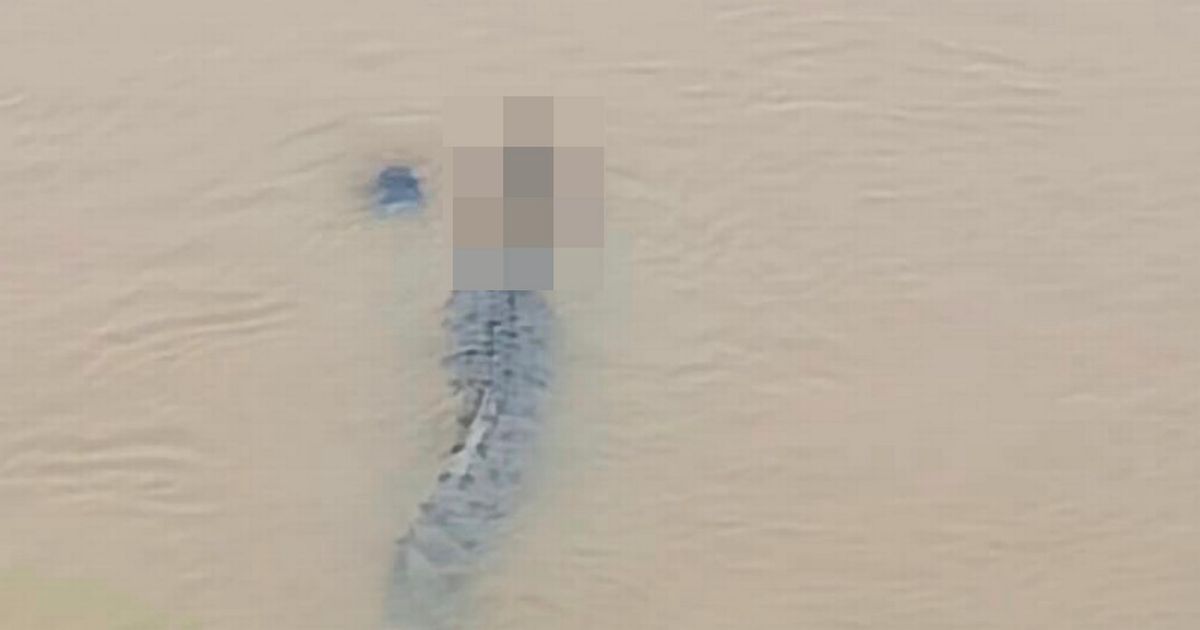Horror moment crocodile drags woman down river after snatching her as she bathed