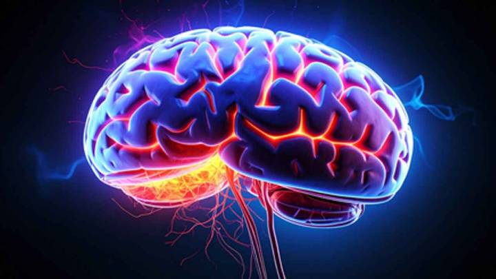 Study shows earlier menopause, poor heart health can affect brain